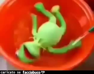 gif animata