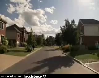 Gif Animata