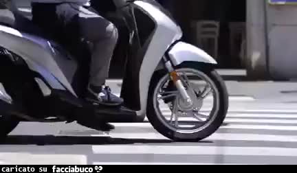 Gif Animata