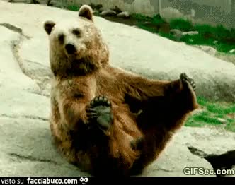 gif animata