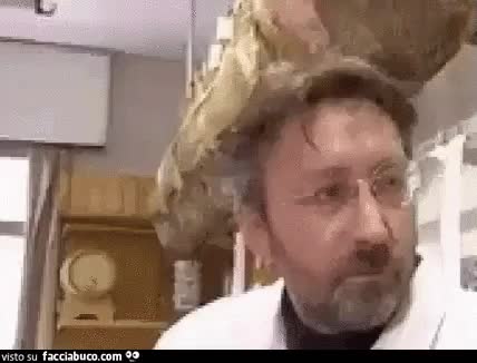 gif animata